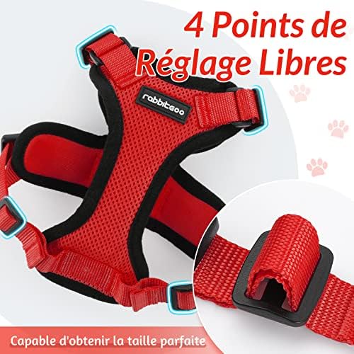 Vue 5 de Rabbitgoo Harnais Chat Petit