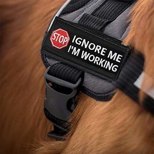 Vue 6 de Patchs Tactiques Brodes Pour