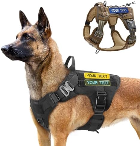 Vue 5 de Patchs Patch De Nom