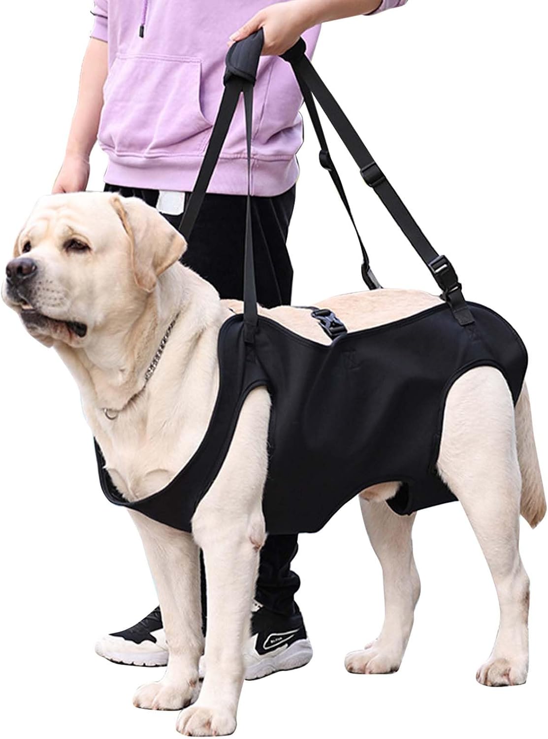 Harnais De Levagetransport Pour