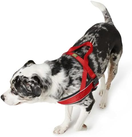 Vue 2 de Hunter Racing Norwegianstyle Harness