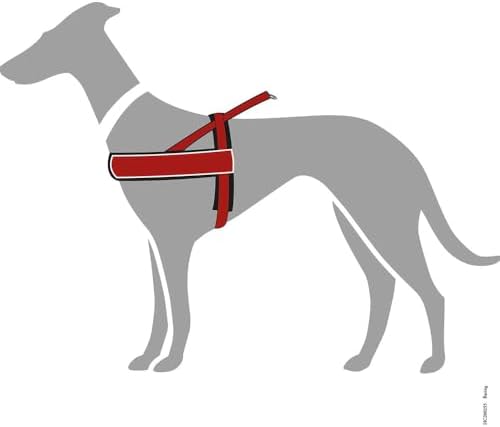 Vue 3 de Hunter Racing Norwegianstyle Harness