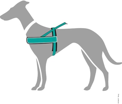 Vue 4 de Hunter Racing Norwegianstyle Harness