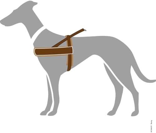 Vue 5 de Hunter Racing Norwegianstyle Harness