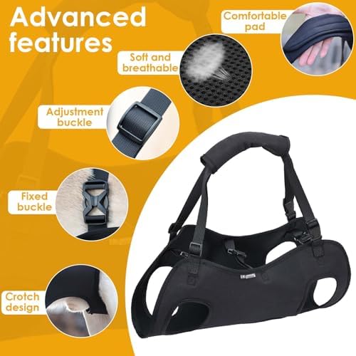 Vue 5 de Harnais De Levagetransport Pour