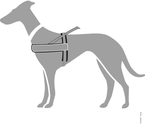 Vue 6 de Hunter Racing Norwegianstyle Harness