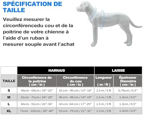 Vue 6 de Haapaw Harnais Tactique Robuste