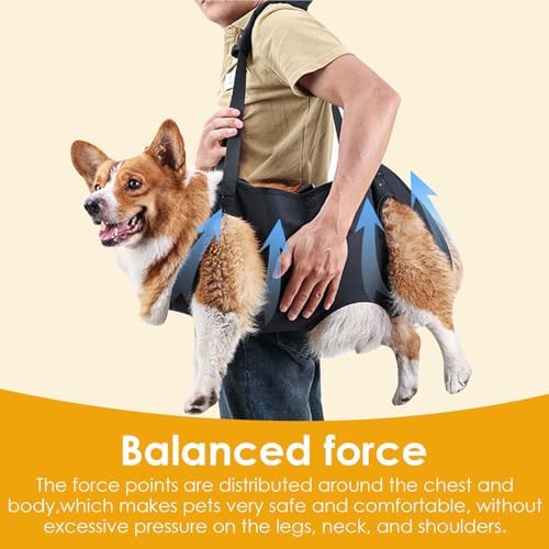 Vue 7 de Harnais De Levagetransport Pour