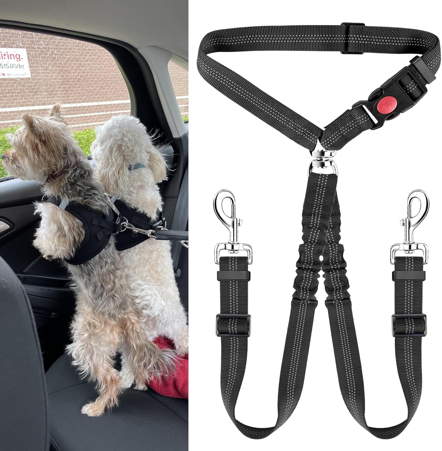 Reglable Double Ceintures De