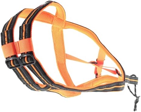 Vue 2 de Harnais Chien Sport Xback