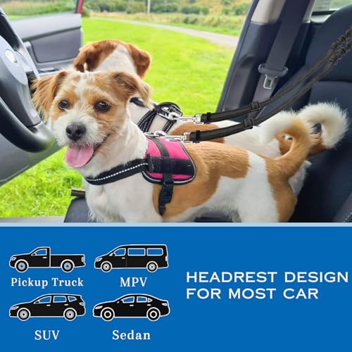 Vue 4 de Reglable Double Ceintures De