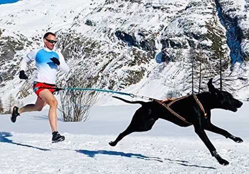 Vue 5 de Harnais Chien Sport Xback