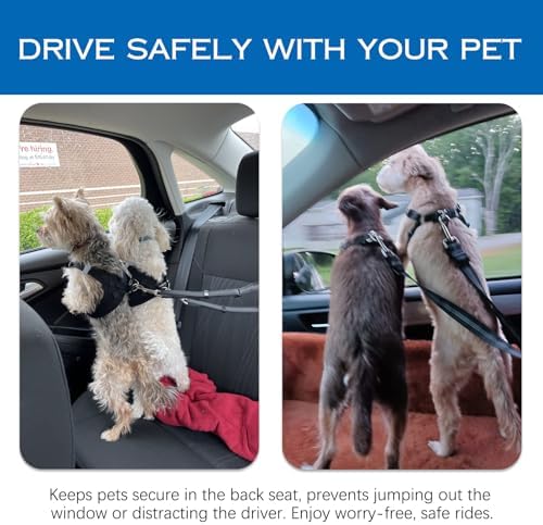 Vue 5 de Reglable Double Ceintures De