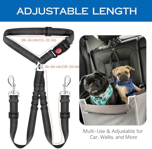 Vue 6 de Reglable Double Ceintures De