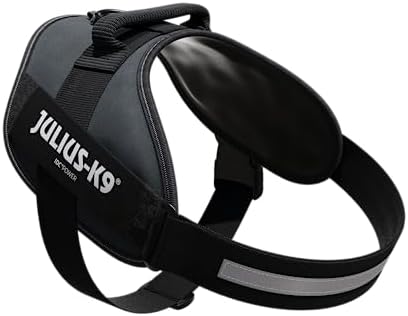 Vue 2 de Julius Harnais Idc