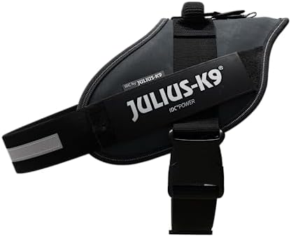 Vue 3 de Julius Harnais Idc