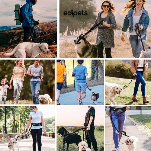 Vue 6 de Edipets Laisse Canicross Main