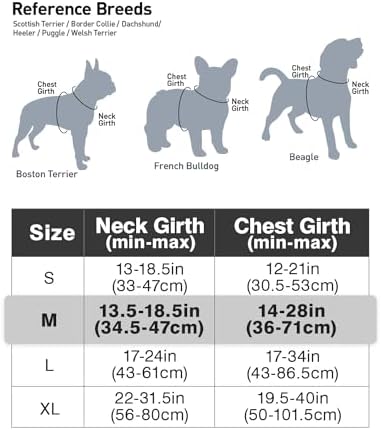 Vue 3 de Joytale Harnais Chien Reflechissant