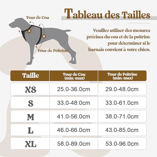 Vue 2 de Rabbitgoo Harnais Chien Anti