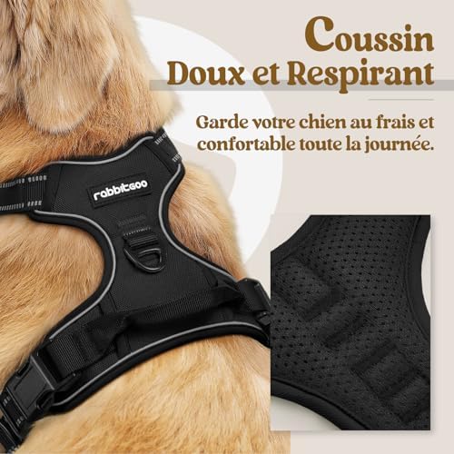 Vue 3 de Rabbitgoo Harnais Chien Anti