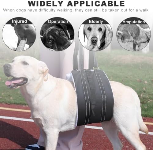 Vue 4 de Mhwan Harnais Pour Chien