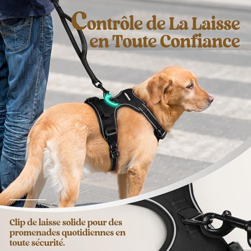 Vue 6 de Rabbitgoo Harnais Chien Anti