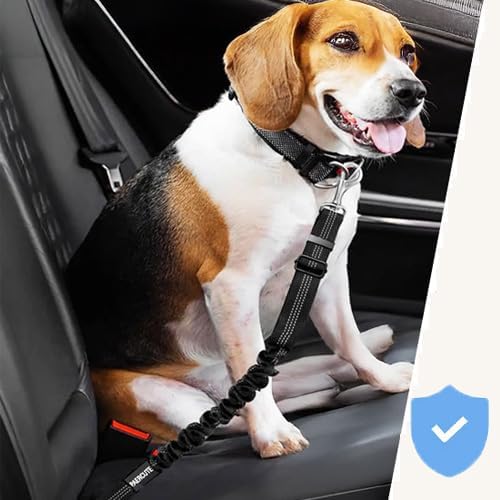 Vue 5 de Marketifar Ceinture Chien Voiture