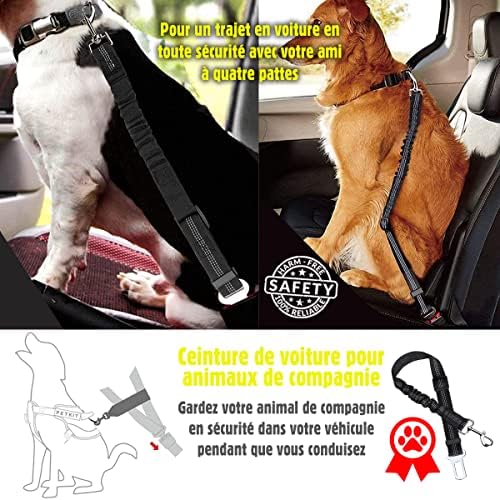 Vue 6 de Marketifar Ceinture Chien Voiture