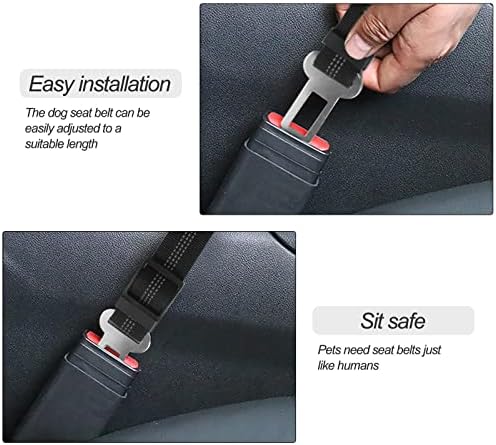 Vue 4 de Redamancy Ceinture Chien Voiture