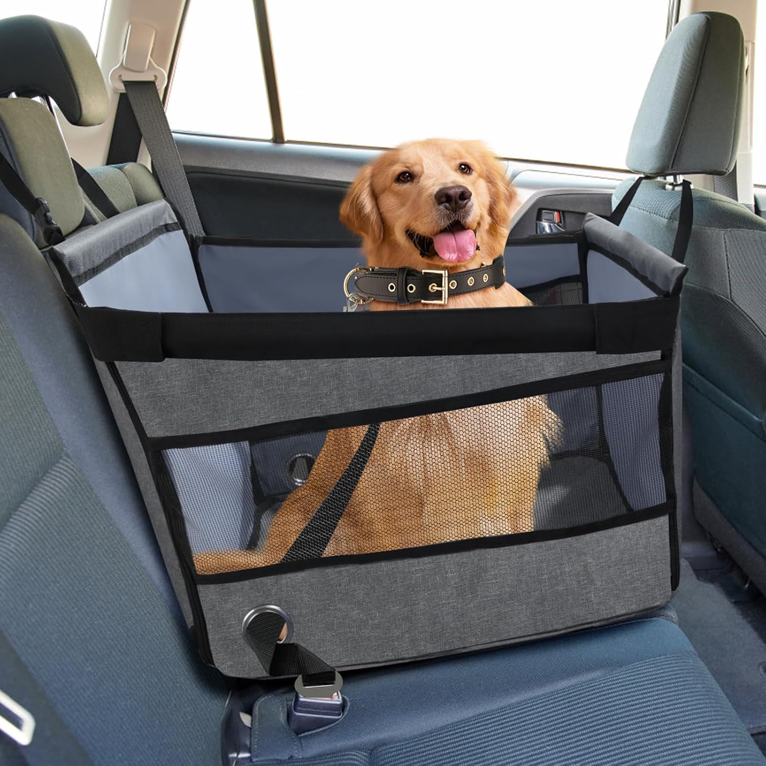 Siege Auto Chien Securise