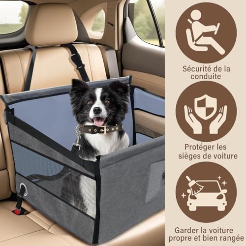 Vue 2 de Siege Auto Chien Securise