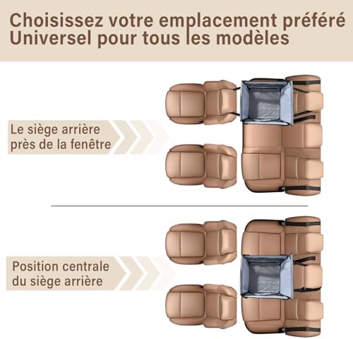 Vue 6 de Siege Auto Chien Securise