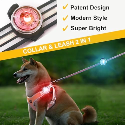 Vue 2 de Tubasion Lot De Lumieres