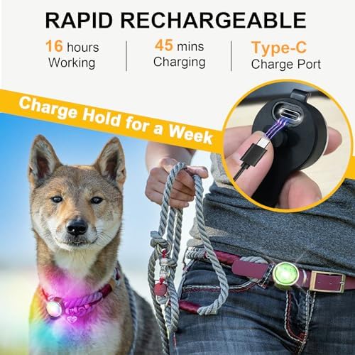 Vue 6 de Tubasion Lot De Lumieres