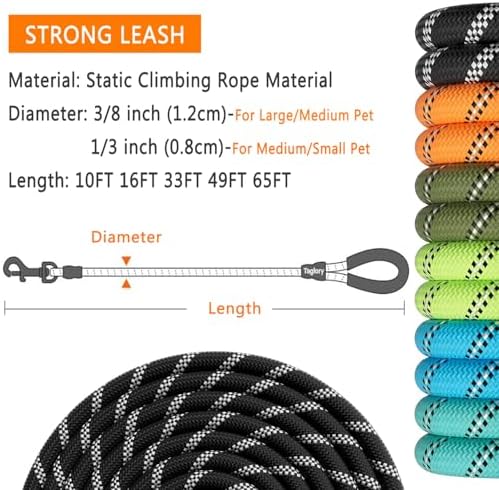 Vue 2 de Yoboko Laisse De Chien