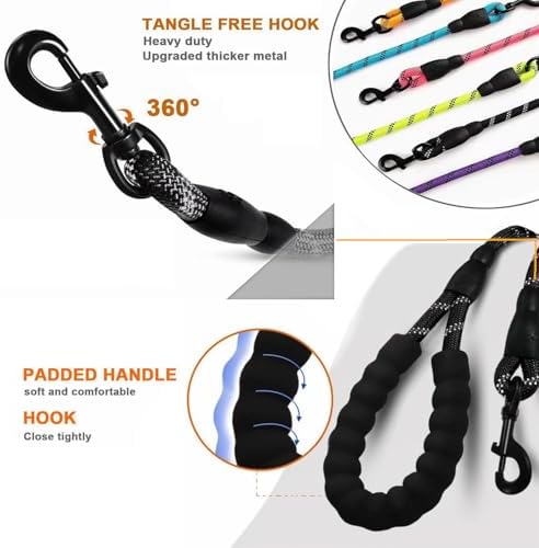 Vue 3 de Yoboko Laisse De Chien