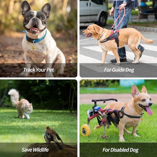 Vue 4 de Whimsii Lot De Clochettes