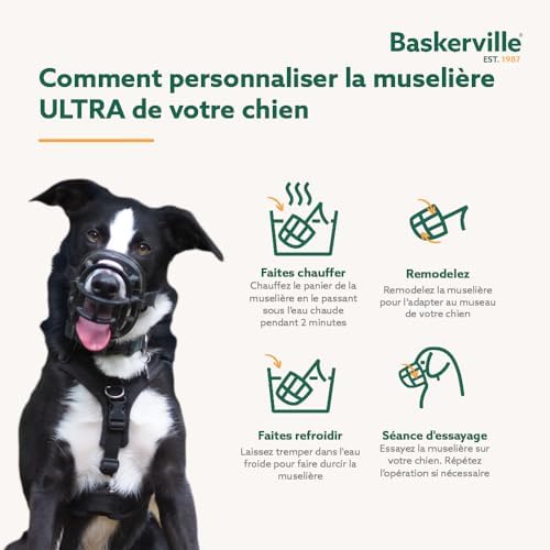 Vue 4 de Museliere Baskerville Ultra Taille