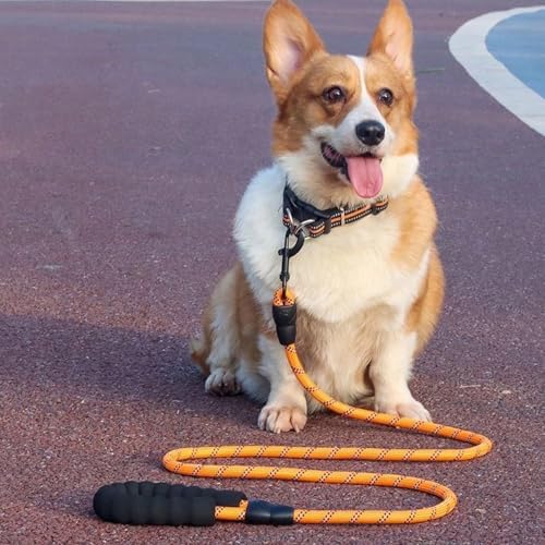 Vue 5 de Yoboko Laisse De Chien