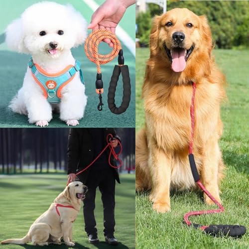 Vue 6 de Yoboko Laisse De Chien