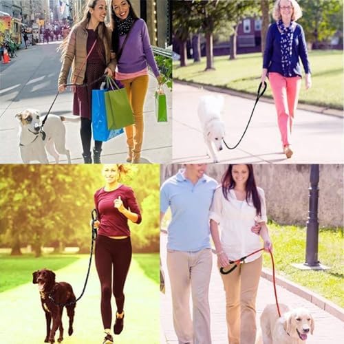 Vue 7 de Yoboko Laisse De Chien