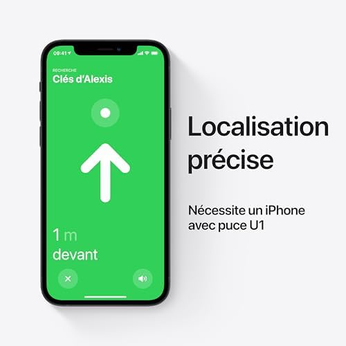 Vue 4 de Apple Airtag