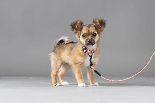 Vue 4 de Flamingo Laisse Dentrainement Et