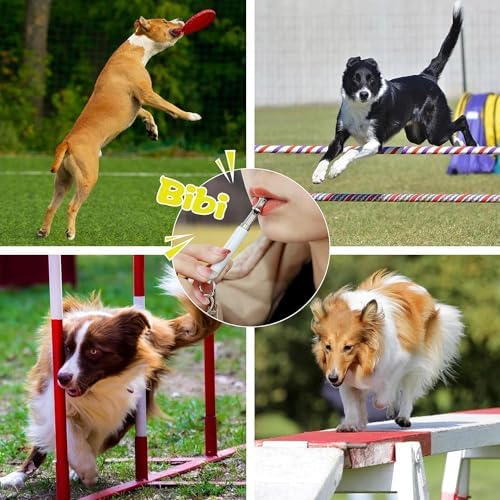 Vue 6 de Hryyds Paquets De Sifflet