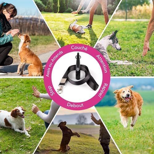 Vue 6 de Tdl Sifflet Pour Chien