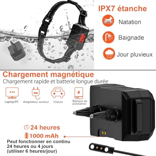 Vue 4 de Poiiopy Cloture Antifugue Sans