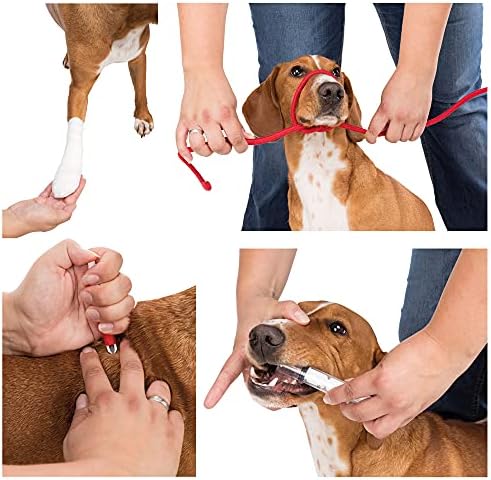 Vue 3 de Trixie Set De Premier