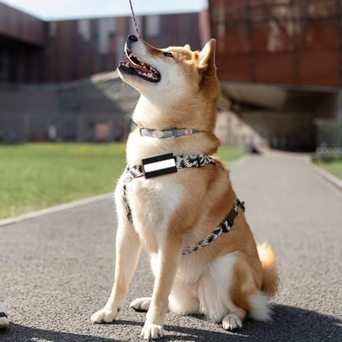 Vue 6 de Lot De Patchs De