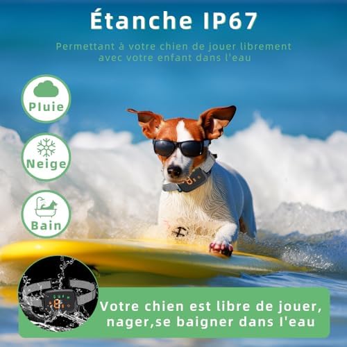 Vue 4 de Collier Anti Aboiement Chien