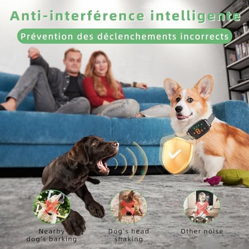 Vue 5 de Collier Anti Aboiement Chien